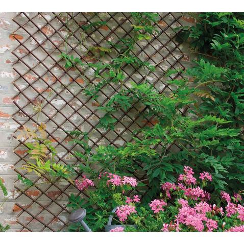 Trelliwillow Treliça extensível em vime Nortene 0,5x1,5 m