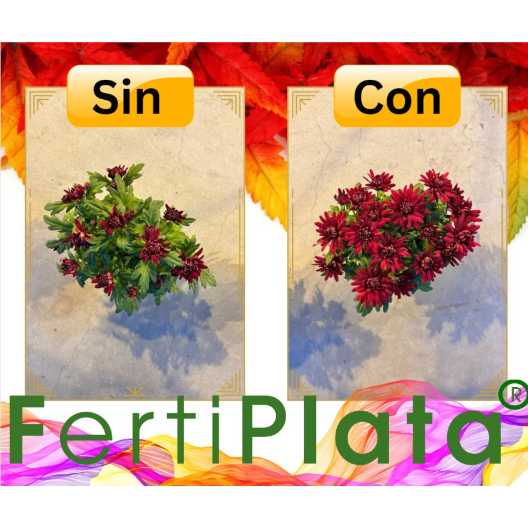 Abono Líquido y Nutriente Foliar para Plantas de Interior y Exterior 500 ml_2