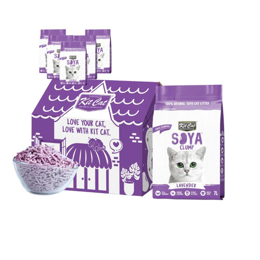 Pack de 6 kits de areia para gatos Eco SoyaClump - Lavanda, 7 L