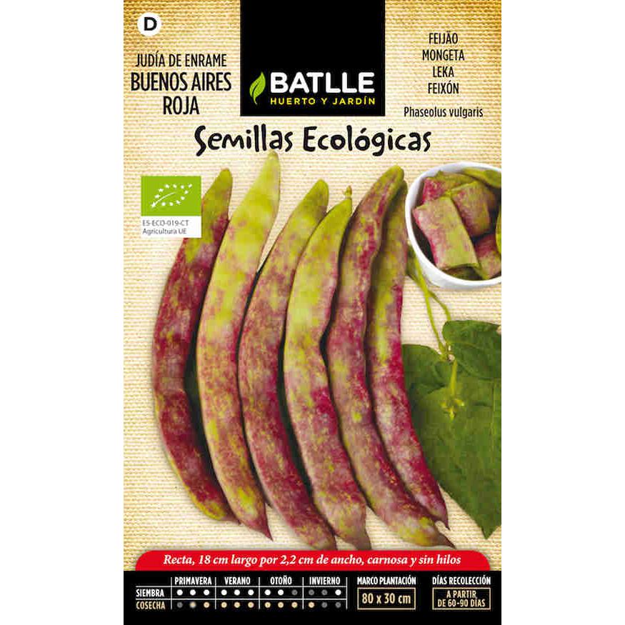 Sementes de feijão vermelho Buenos Aires biológico Batlle