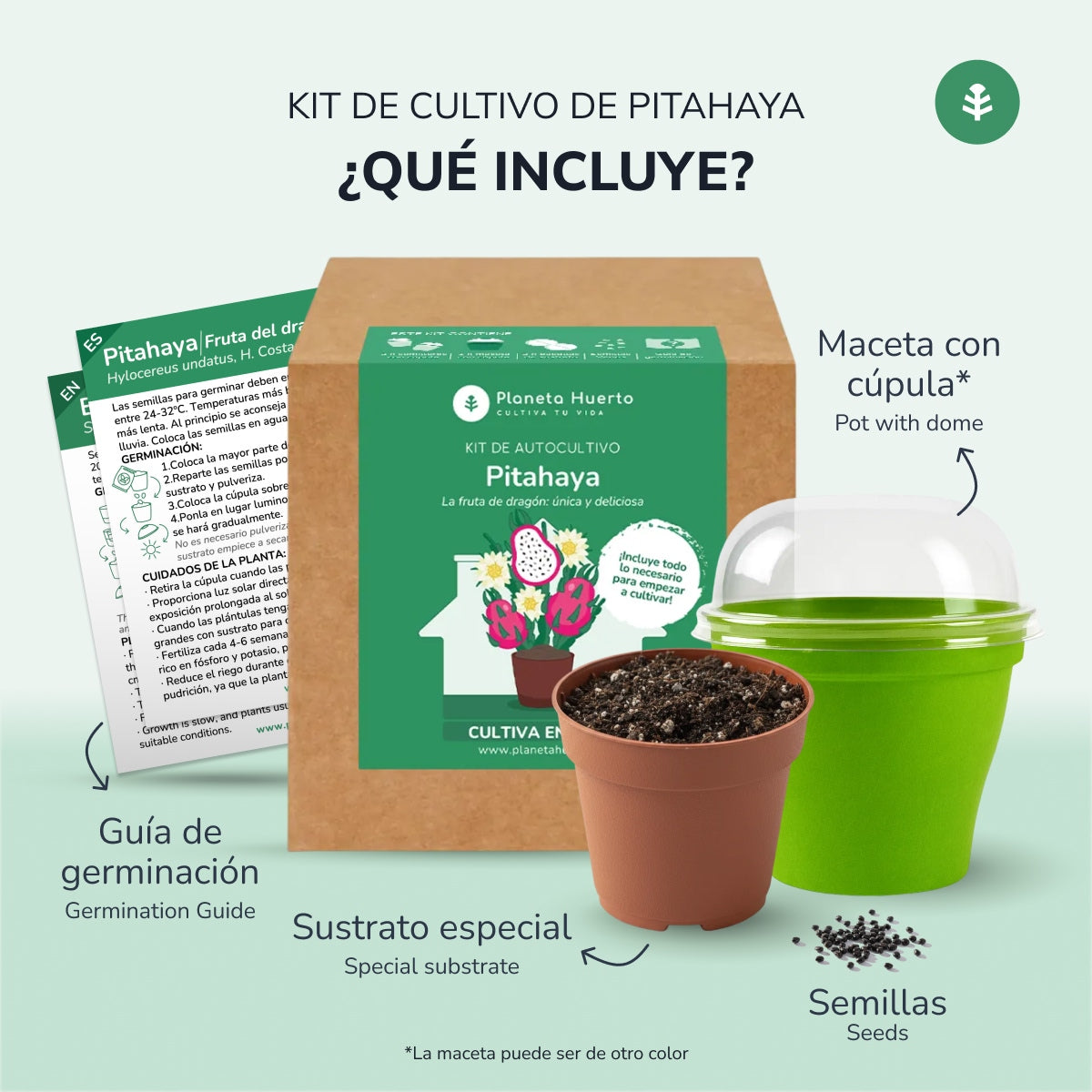 Kit de autocultivo de fruta do dragão Pitahaya Planeta Huerto