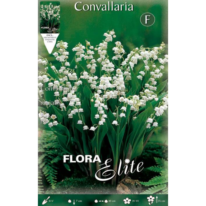 Convallaria Muguet Bulbo 10 unidades