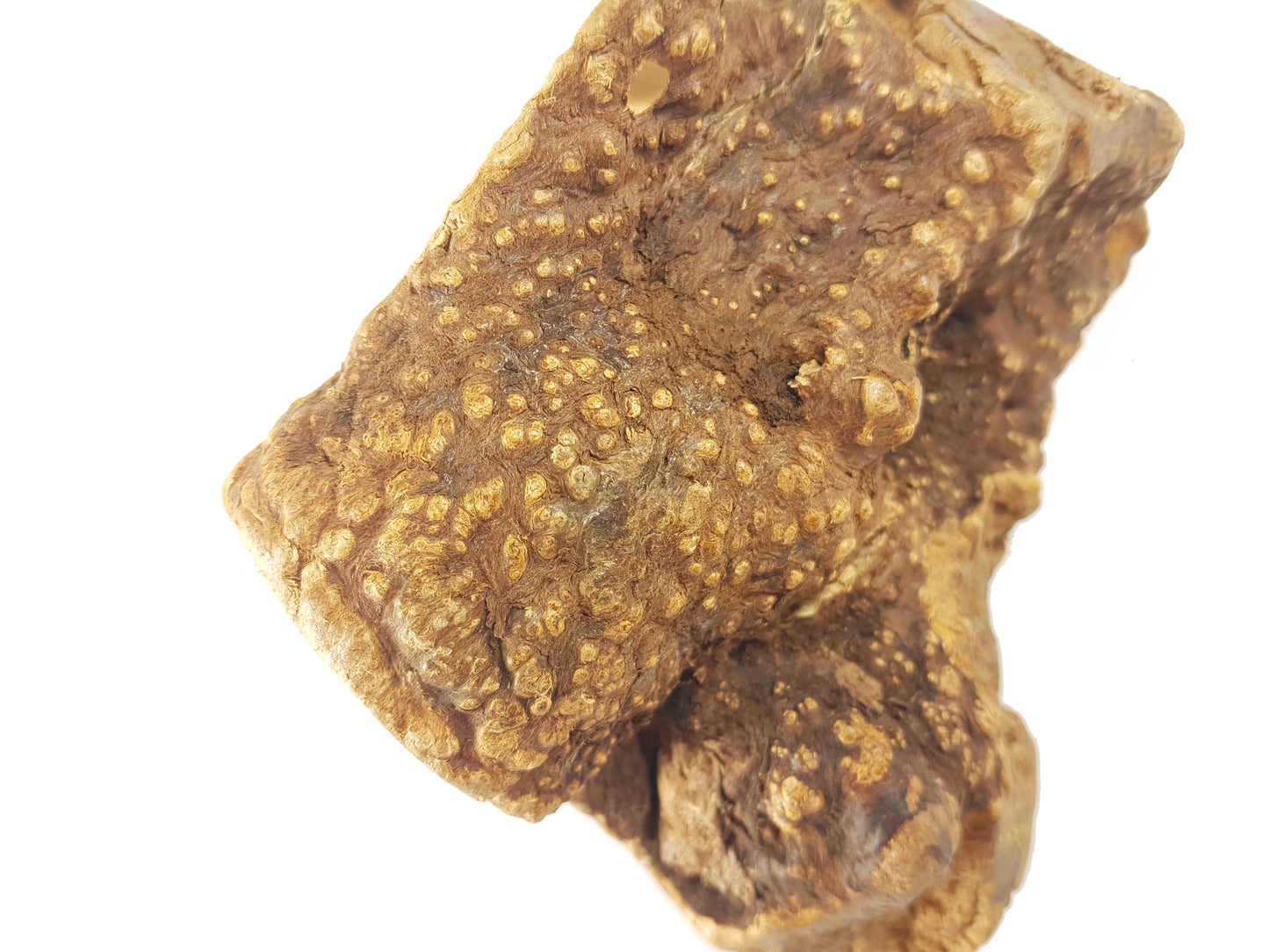 Bimordiscos Raíz De Brezo Para Perros.