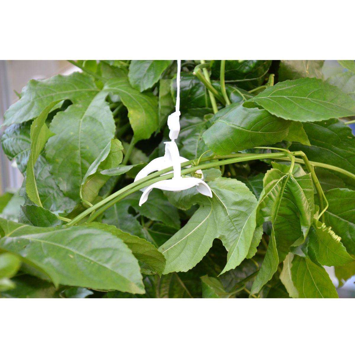 Kit de formação para treliça de estufa