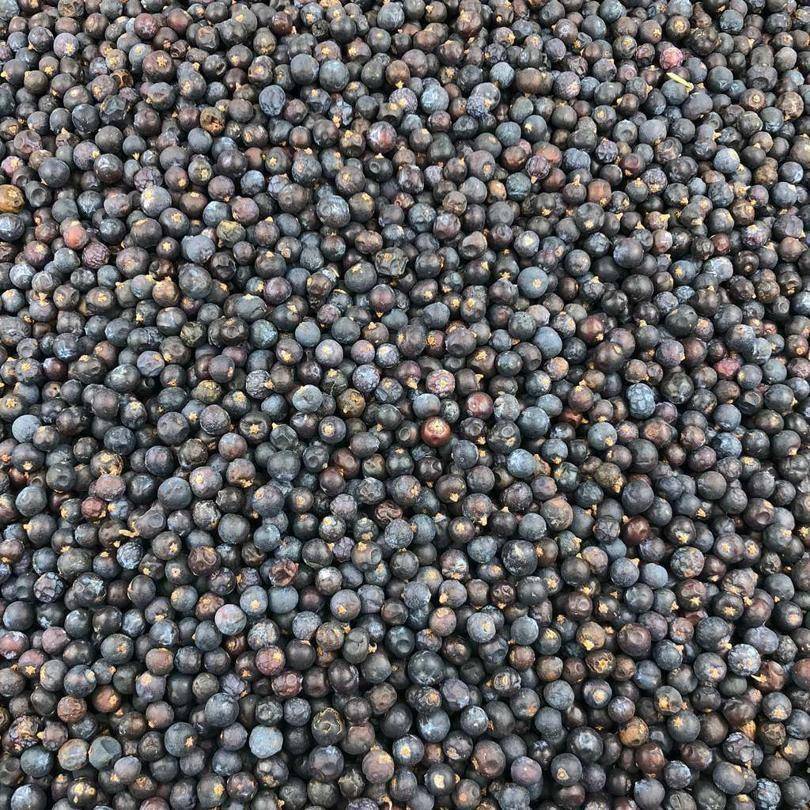 Cardamomo De Fruta Entera Ecológico Granel 10 Kg_0