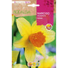 Bulbo de trombeta Narciso Fortuna amarelo laranja 5 peças Rocalba