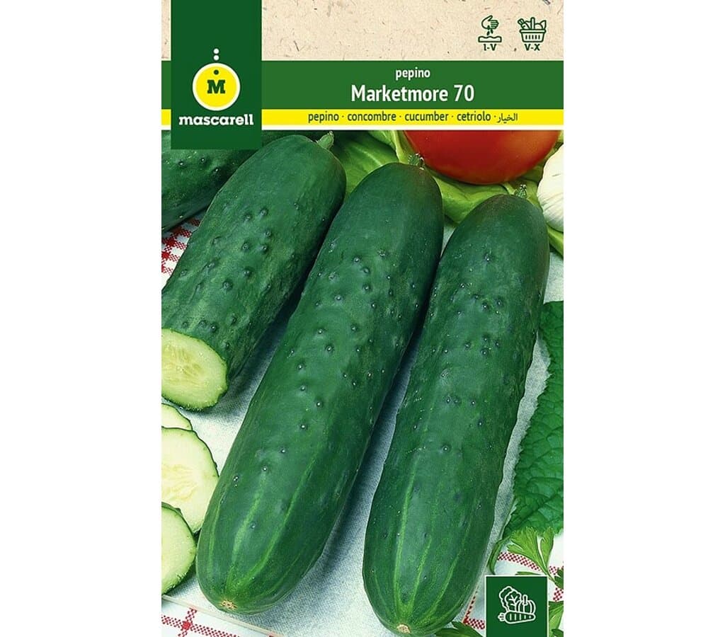 Semillas Pepino (supermarketer)_0