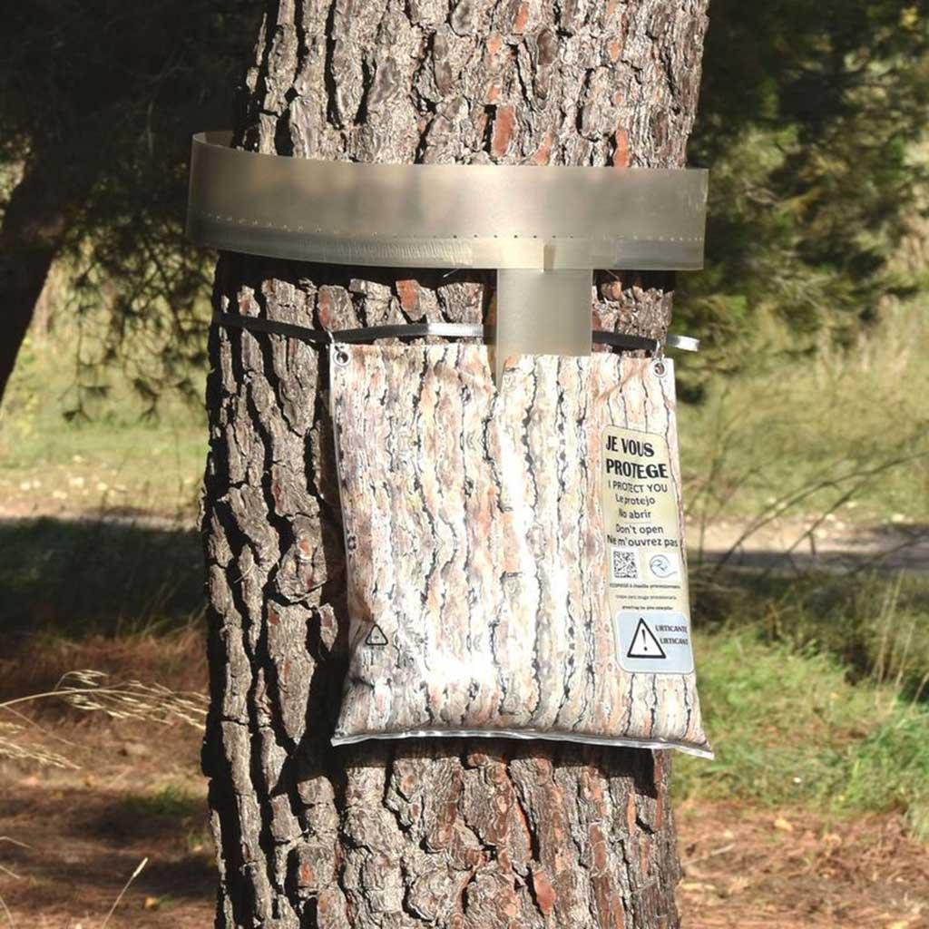 Armadilha anti-lagarta Ecopiege para traças processionárias do pinheiro
