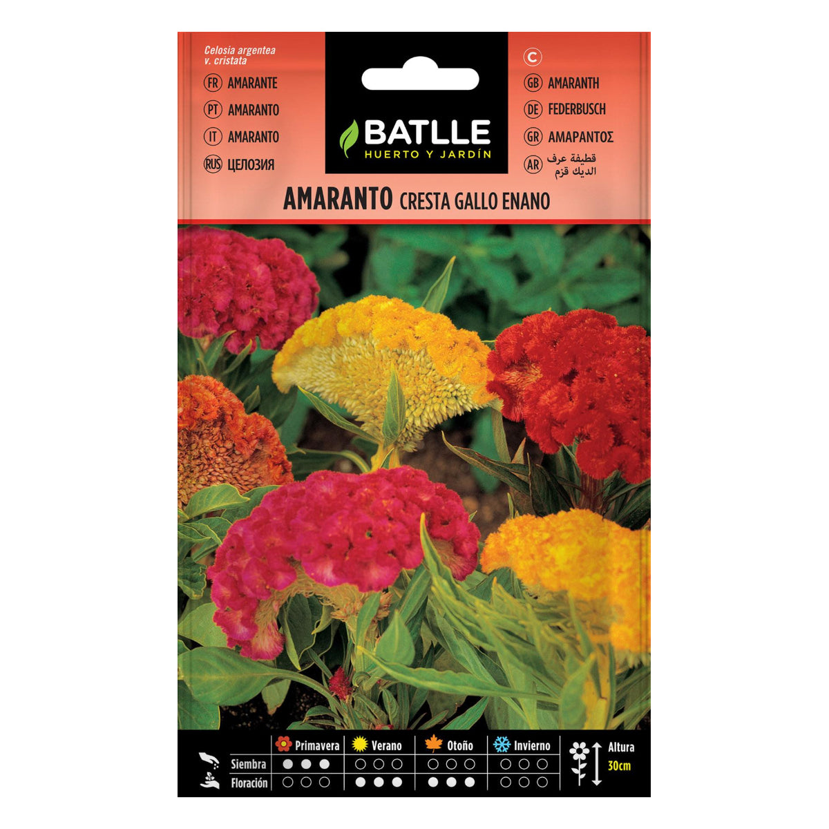 Sementes de amaranto anão Batlle Gallus Crest