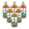 Embalagem de 6 Kombucha ECO chá verde e limão Planeta Huerto 330 ml