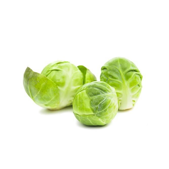 Plântulas de couve-de-bruxelas, 6 unid. Linha Tradicional