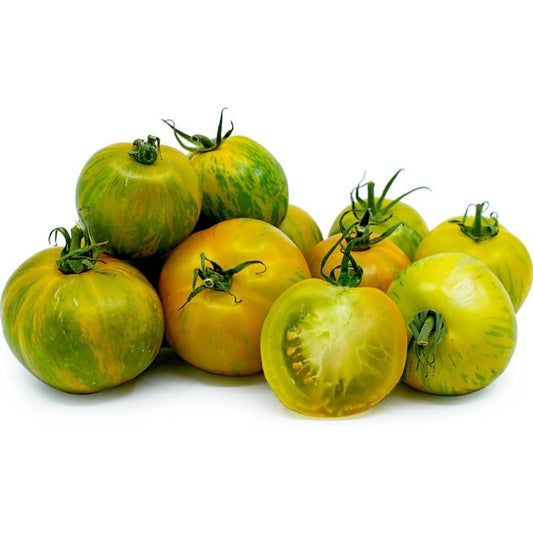 Mudas de tomate zebra, 6 unidades, linha tradicional