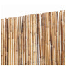 Cana de bambu inteira 1,5x5 m