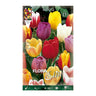 Bulbos de Tulipa Darwin Elite Mix 10 unidades