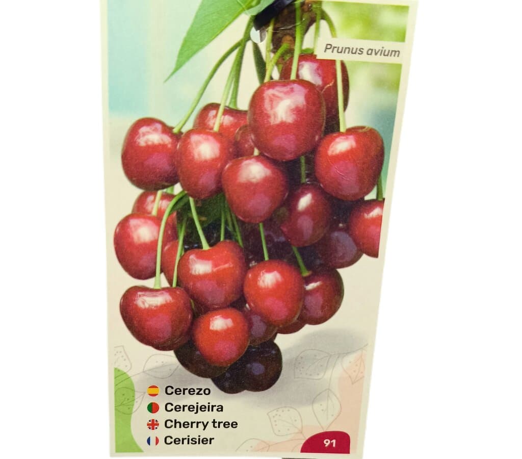 Cerezo Garnet M25_1