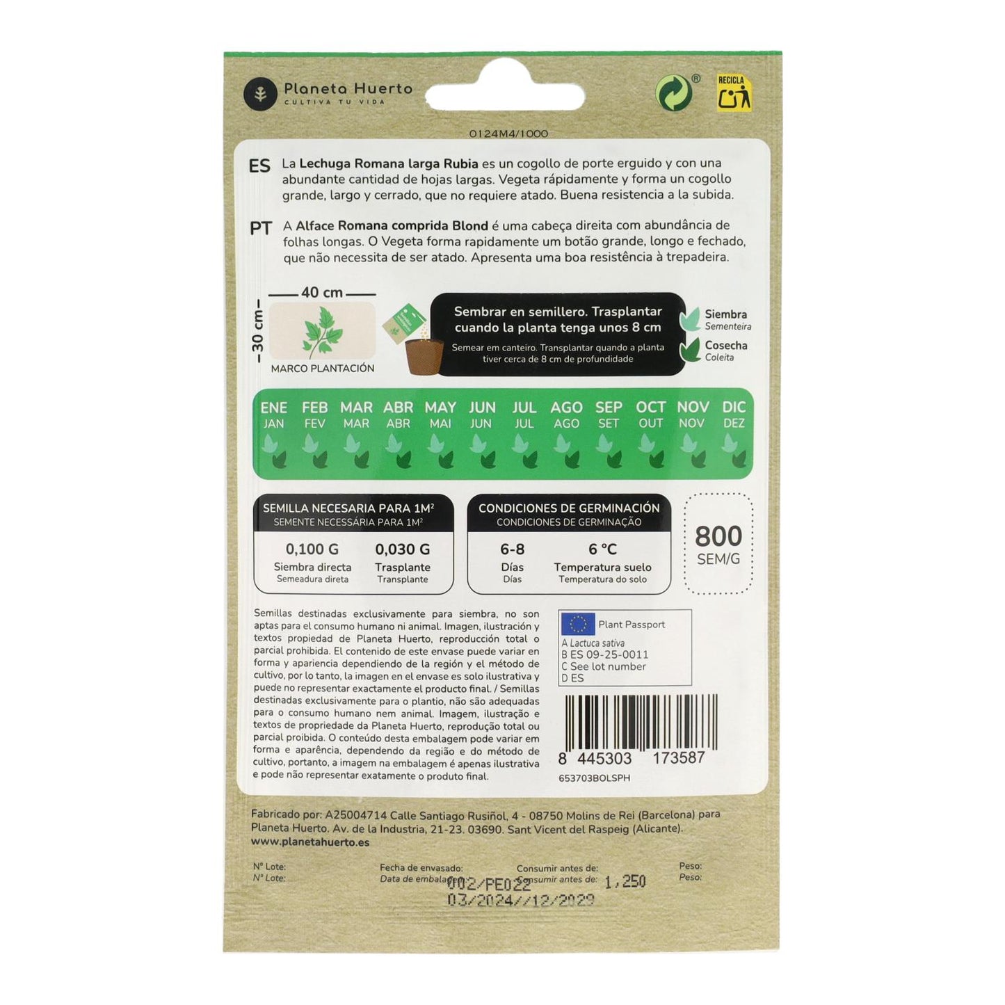 Sementes de alface romana biológica da Planeta Huerto