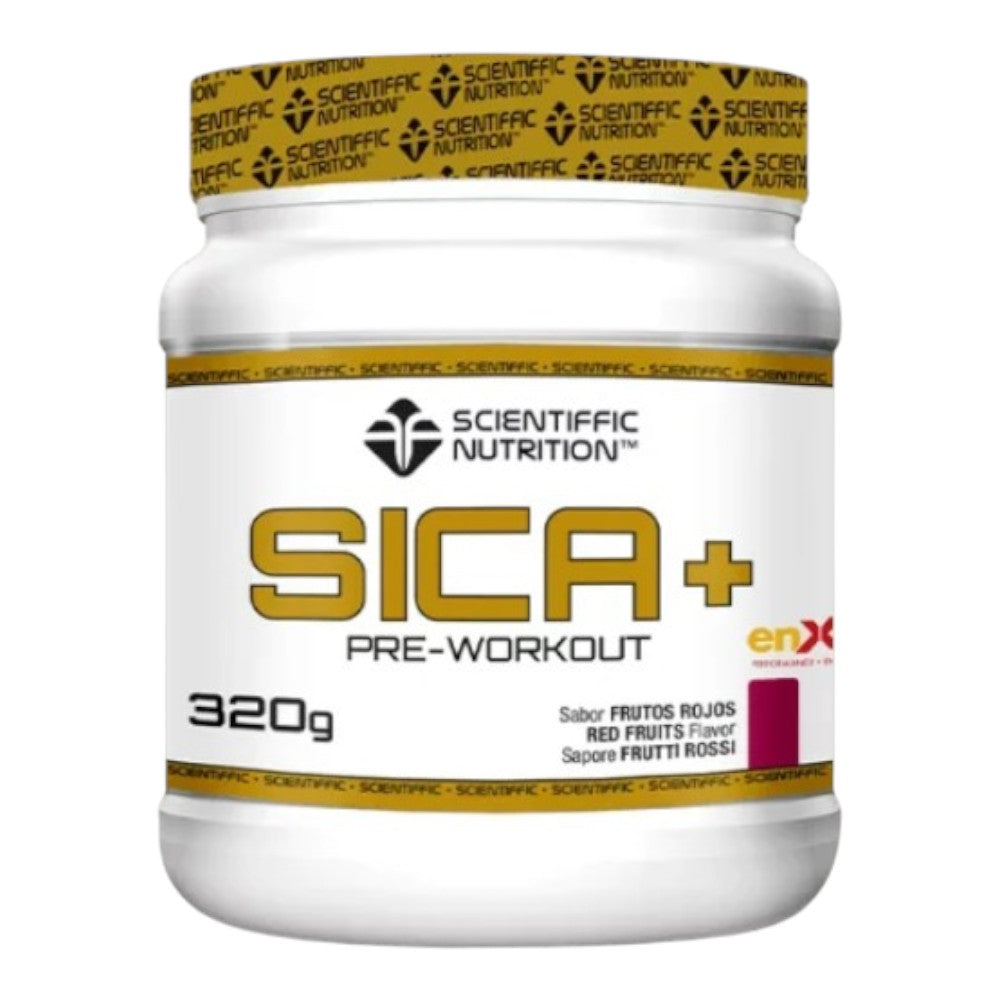 Sica + 320 Gr_2