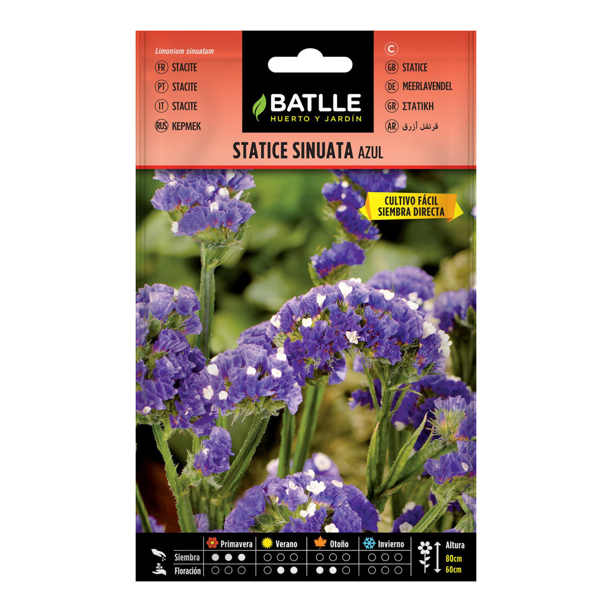 Statice sinuata azul Sementes Batlle