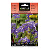 Statice sinuata azul Sementes Batlle