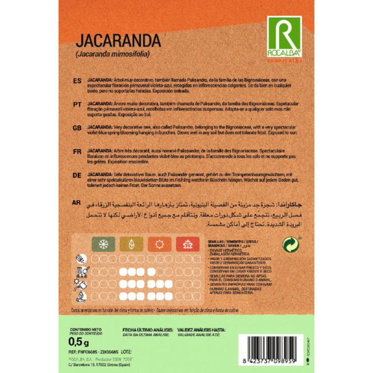 Sementes de Jacarandá Jacaranda mimosifolia