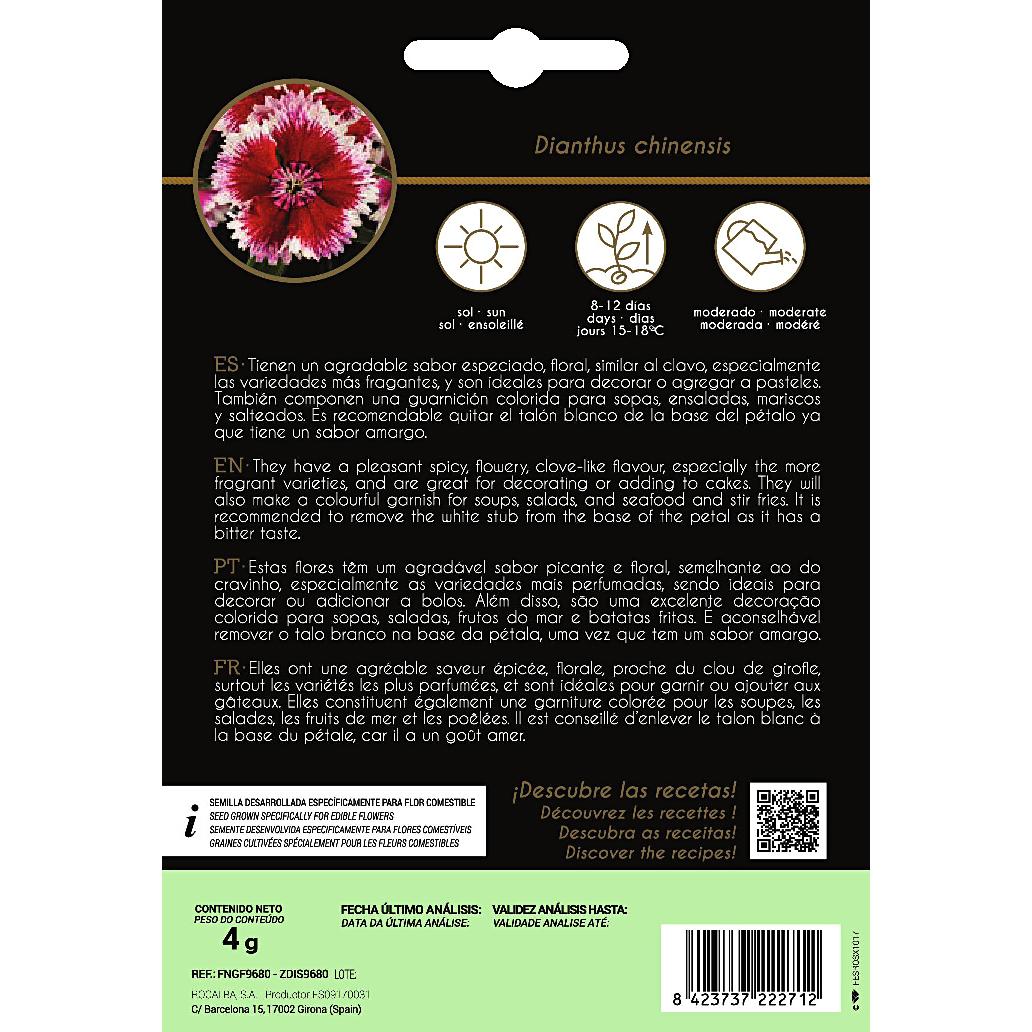 Sementes de flores comestíveis de cravo chinês Rocalba