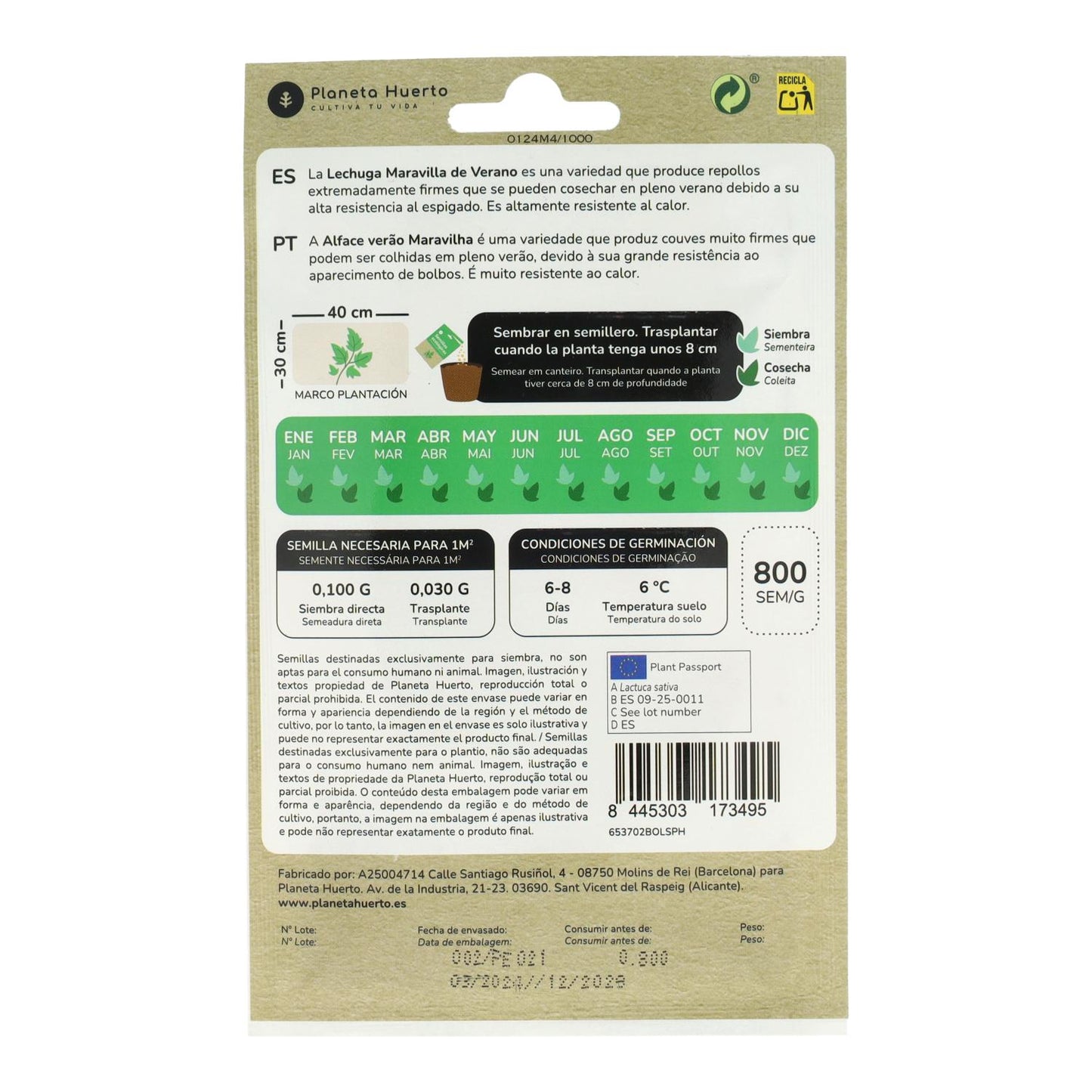 Sementes de alface Summer Wonder biológicas Planeta Huerto