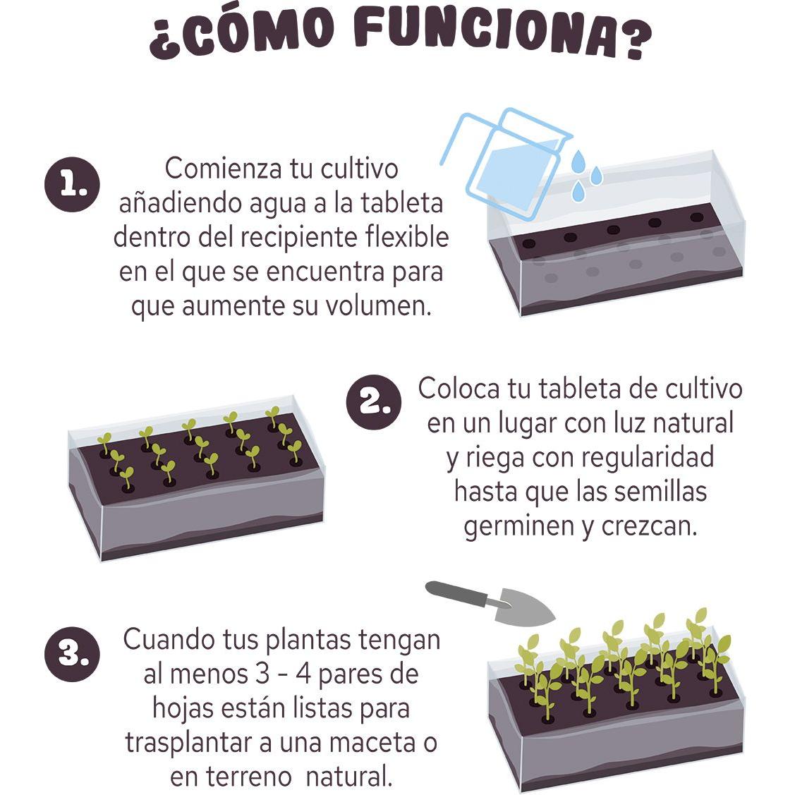 Comprimido para cultivo de pipocas