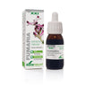 Extrato de Fumaria Soria Natural, 50 ml