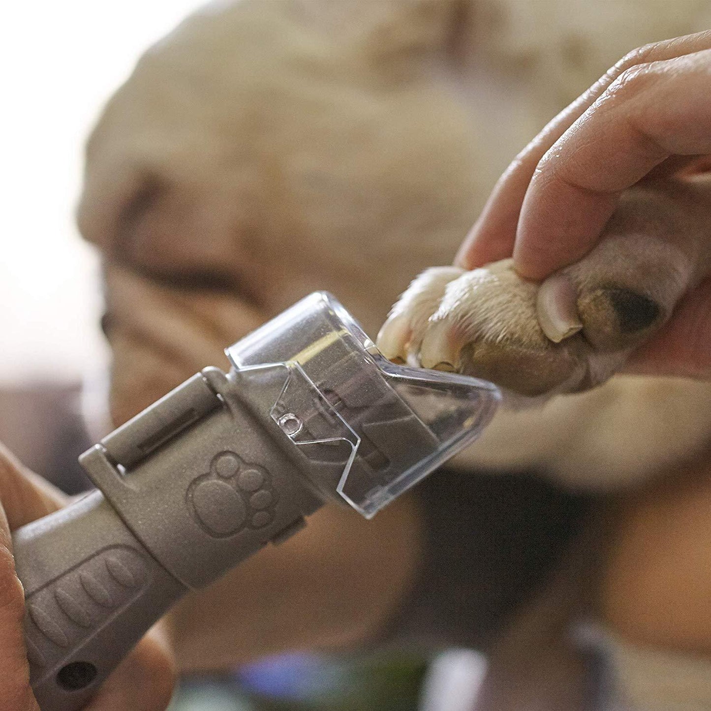 Kit de limpeza de unhas para animais de estimação Dremel 7020-PGK