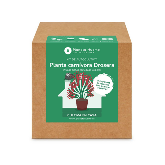 Kit de autocultivo para a planta carnívora Drosera Planeta Huerto