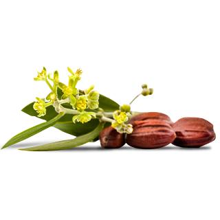 Máscara de Volume - Lavera Castanho 9 ml