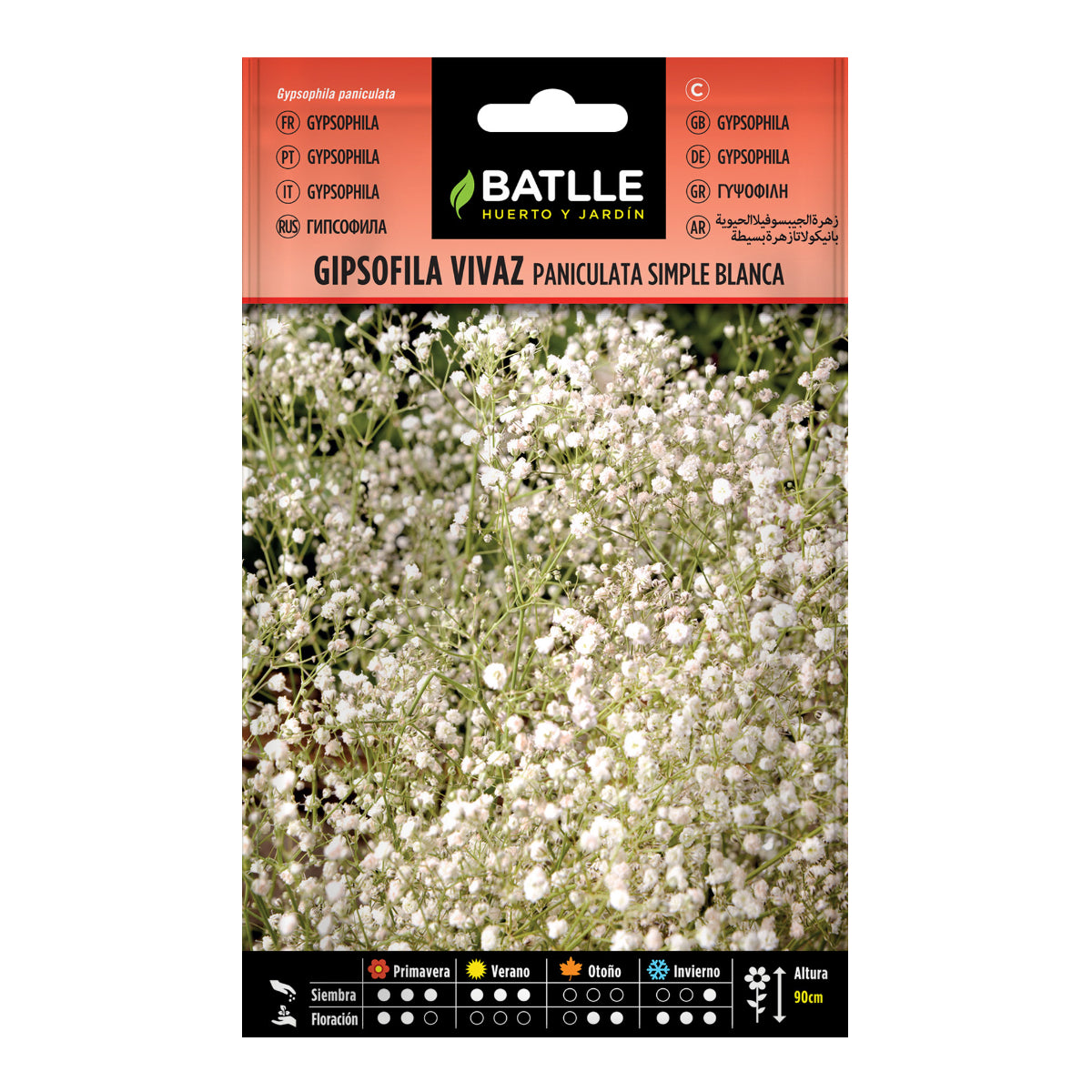 Sementes de Gypsophila vivaz Paniculata simples branca Batlle