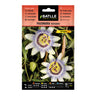 Sementes de passiflora trepadora