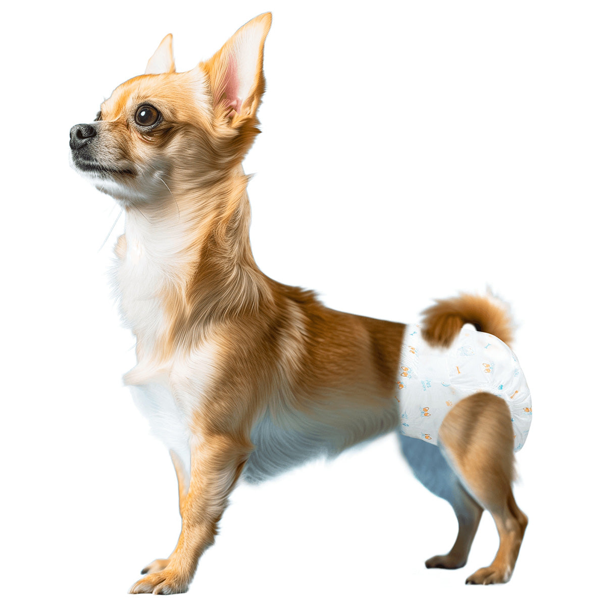 Fraldas Nobleza para cadelas XS 10 unidades