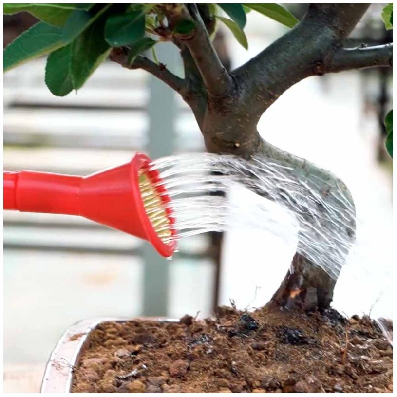 Regador bonsai vermelho 0,9 L