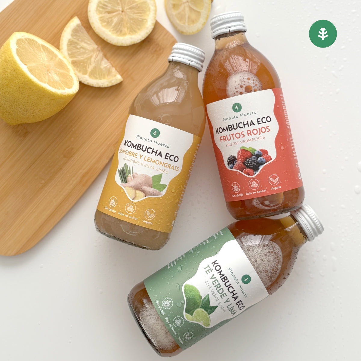 Embalagem de 6 Kombucha ECO chá verde e limão Planeta Huerto 330 ml