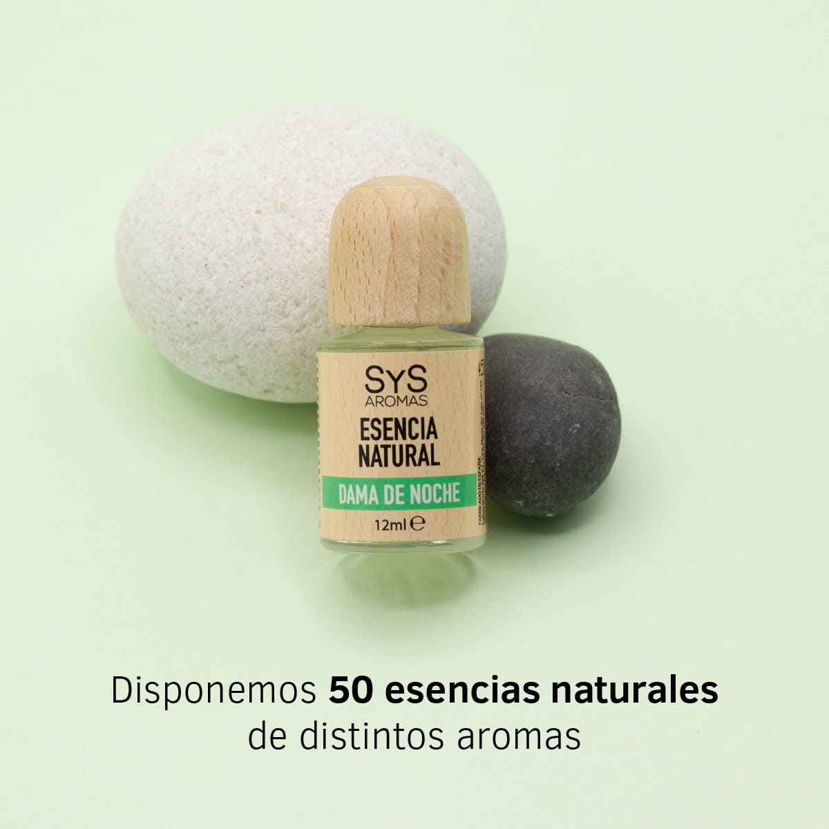 Esencia Aromática Dama De Noche 12 Ml | Aroma Floral Intenso | Fragancia Nocturna | Perfume Concentrado_2