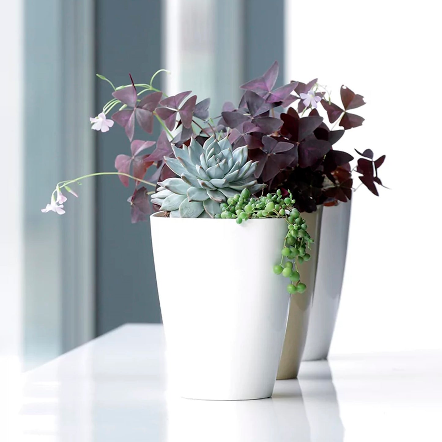 Maceta Coubi Orchid 1,6l., Dimensiones (mm) 132x132x165, Color Blanco