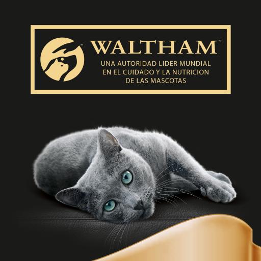 Sheba Delices du Jour Aves 6x50 g Ração húmida para gato com molho