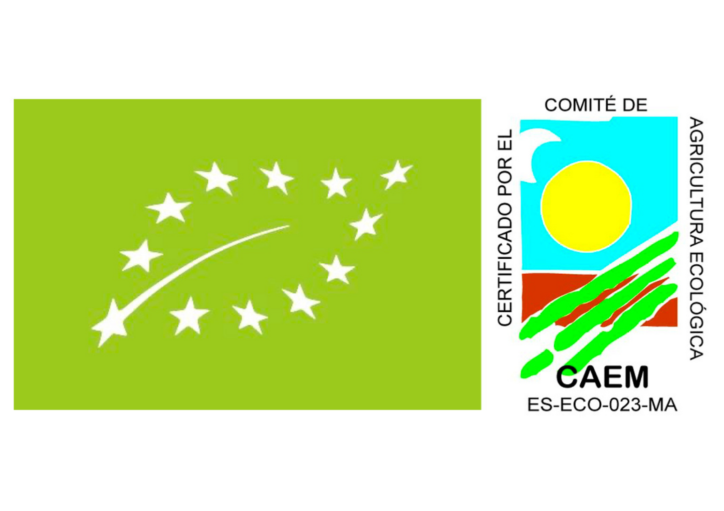 Hogaza de pan ecológico libreta de candeal 350 g_1