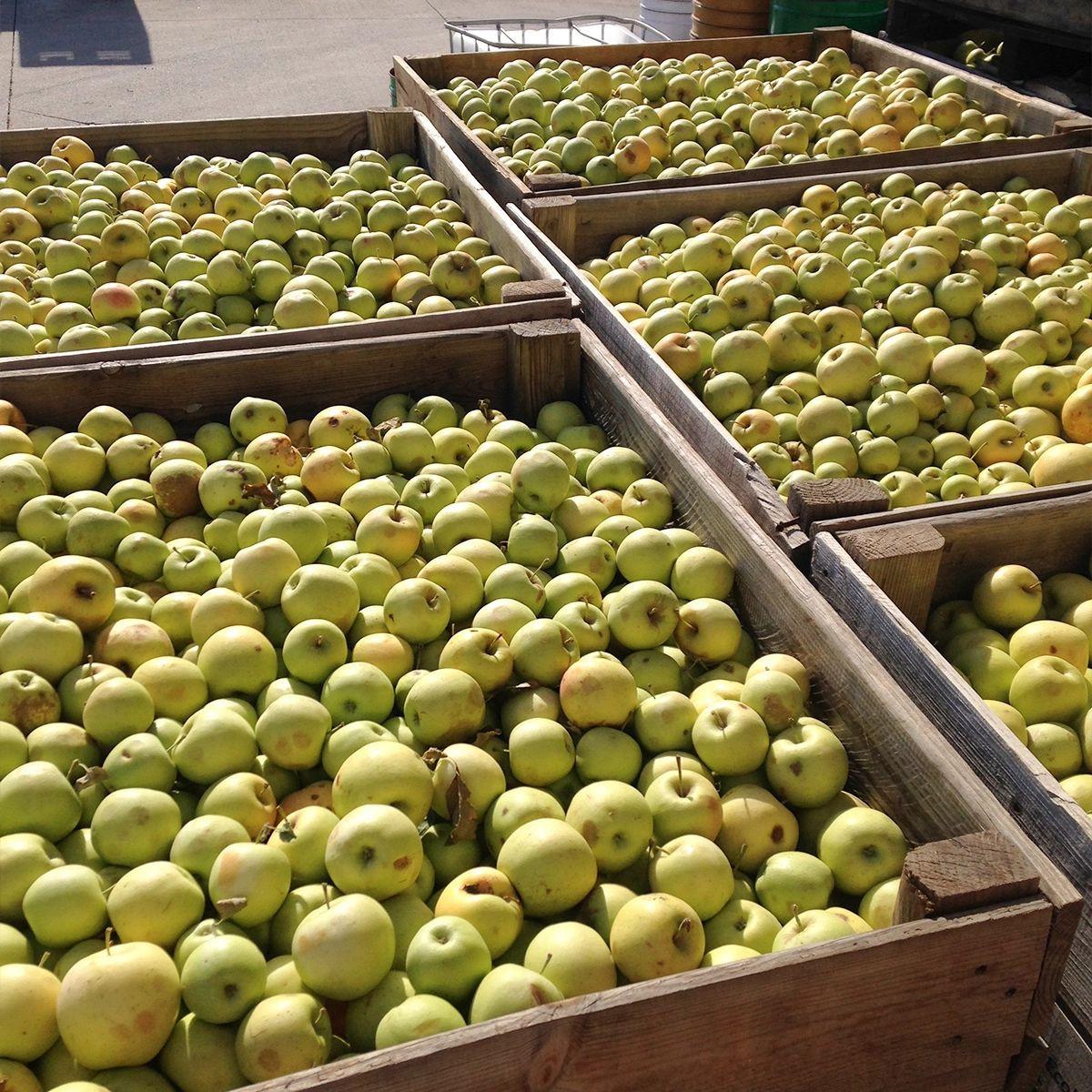 Elaborado com Pêra e Maçã Biológicas sem adição de açúcar Ékolo 700 g