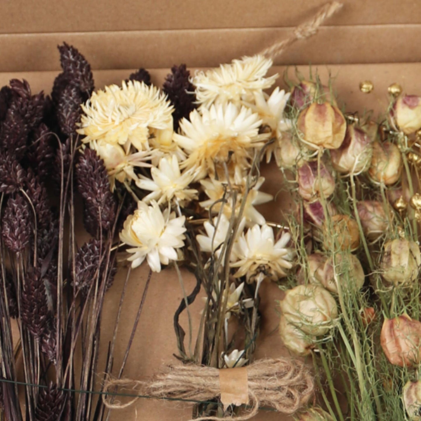 Flores Secas - Dryflower 'x-mas Brown/gold'_3