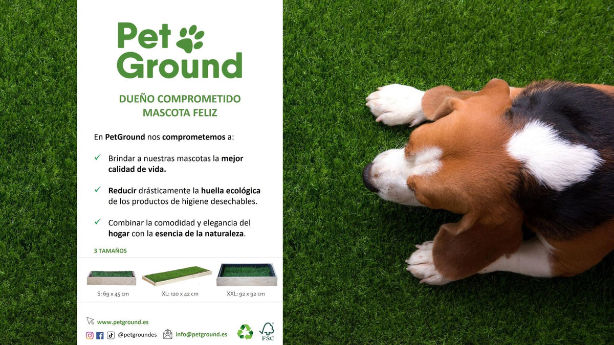 Pack PetGround, Cama de césped natural Para Conejos, Caja De Madera, Accesorio, Mueble Xxl: 92 X 92 Cm_4