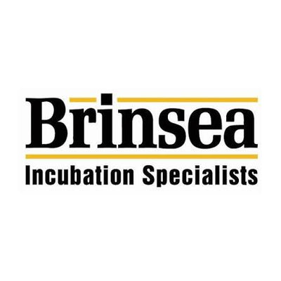 BRINSEA