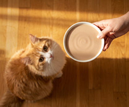 Sopa Cremosa para Gatos Creamy Bisque Atún y Salmón Catit 4 x 40 g