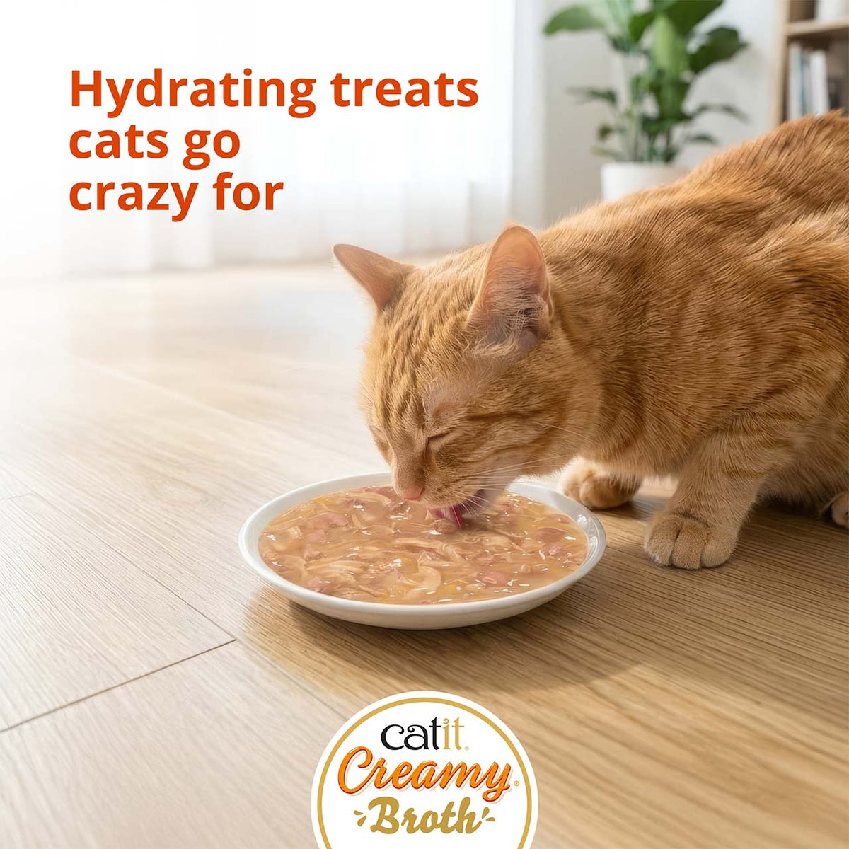 Caldo Cremoso para Gatos Creamy Broth Atún y Salmón Catit 4 x 40 g
