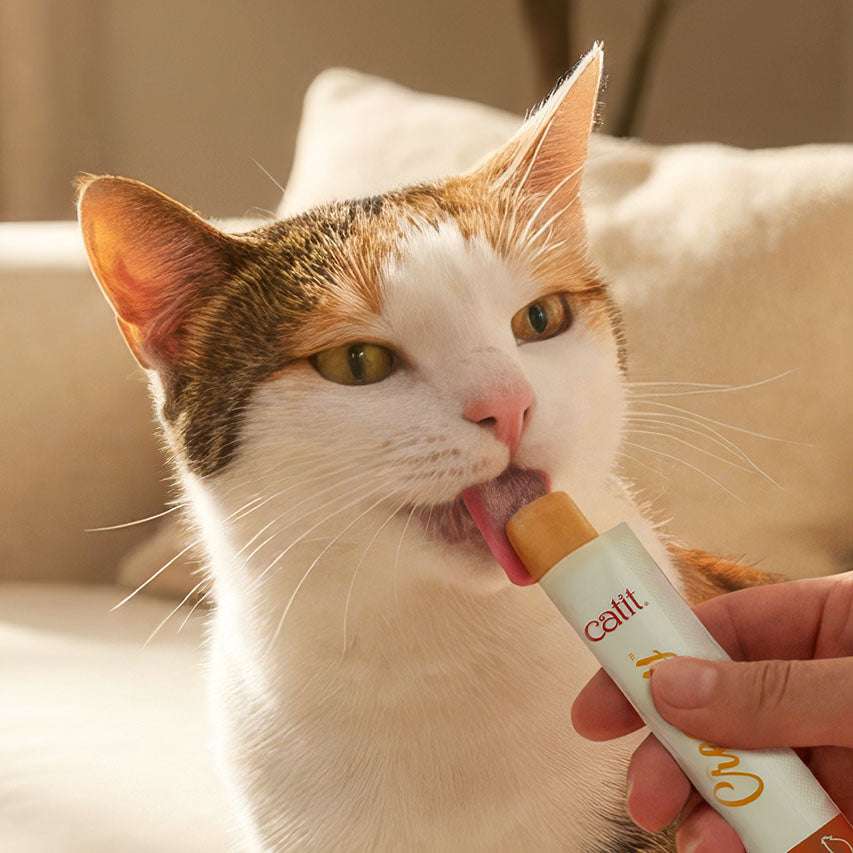 Snack Líquido para Gatos Senior Creamy Booster Pollo Catit 4 x 10 g