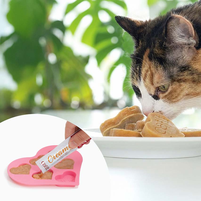 Snack Líquido para Gatos Senior Creamy Booster Pollo Catit 4 x 10 g