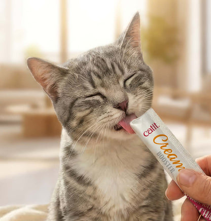 Snack Líquido para Gatos Senior Creamy Booster Pollo Catit 4 x 10 g