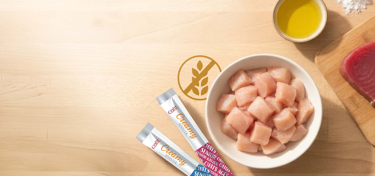 Snack Líquido para Gatos Senior Creamy Booster Pollo Catit 4 x 10 g